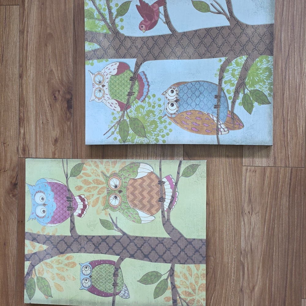 Colorful Owl Canvas Wall Art Set 16" X 20"